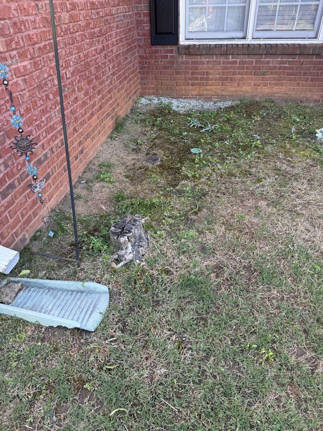 Brick home corner and downspout maintained by Kaus Cuts