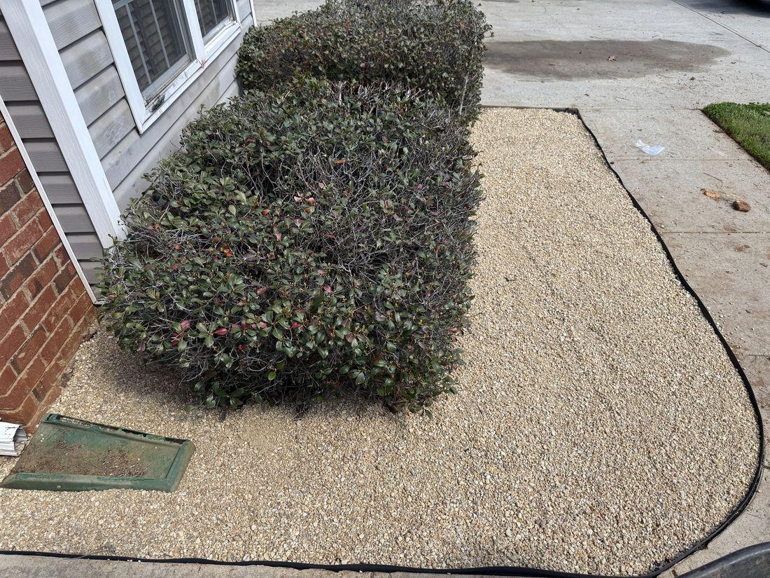 Leaf-cleared yard and driveway after a Kaus Cuts cleanup