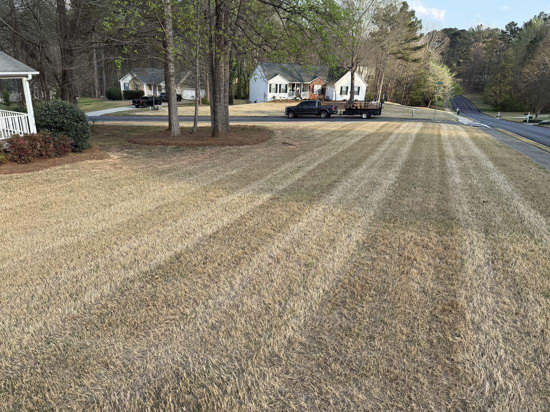 Tidy off-season lawn maintained by Kaus Cuts