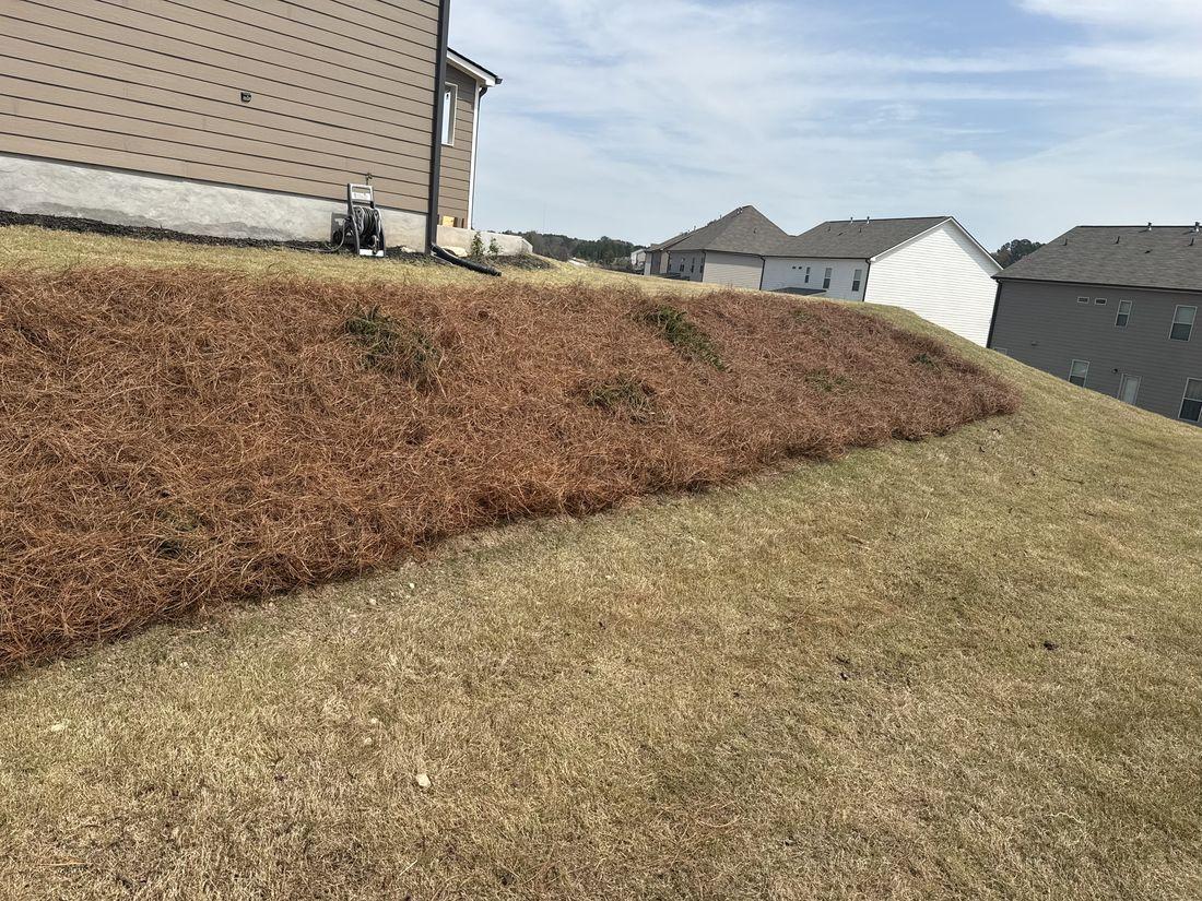Cleared, raked yard by Kaus Cuts