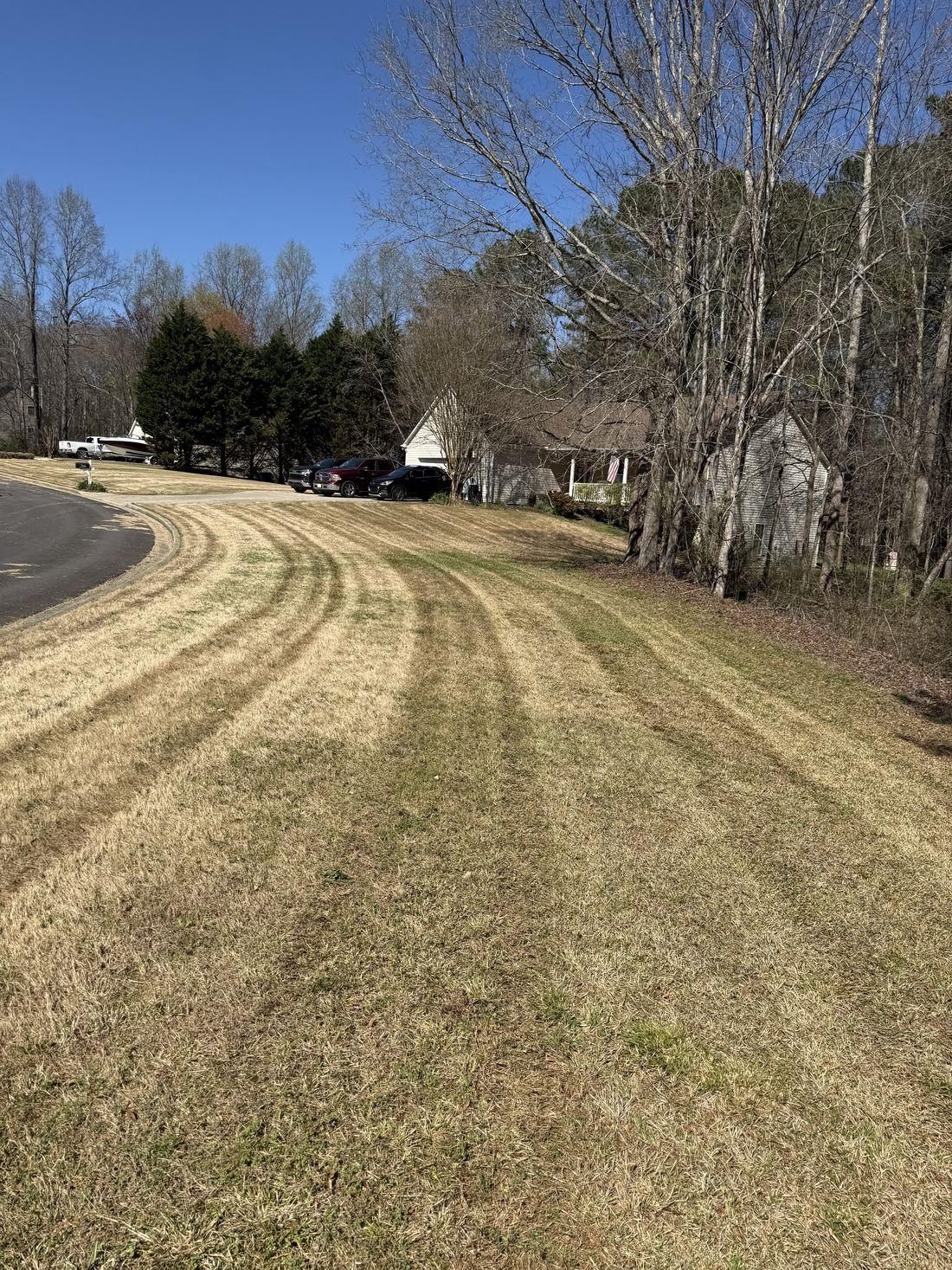 Tidy fall lawn cleared of leaves by Kaus Cuts