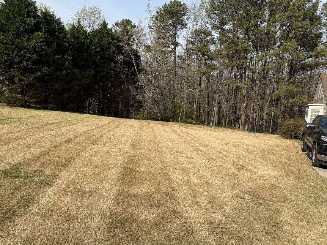 Clean, mowed dormant-season lawn by Kaus Cuts