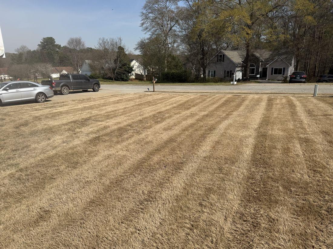 Wide cleared off-season lawn by Kaus Cuts