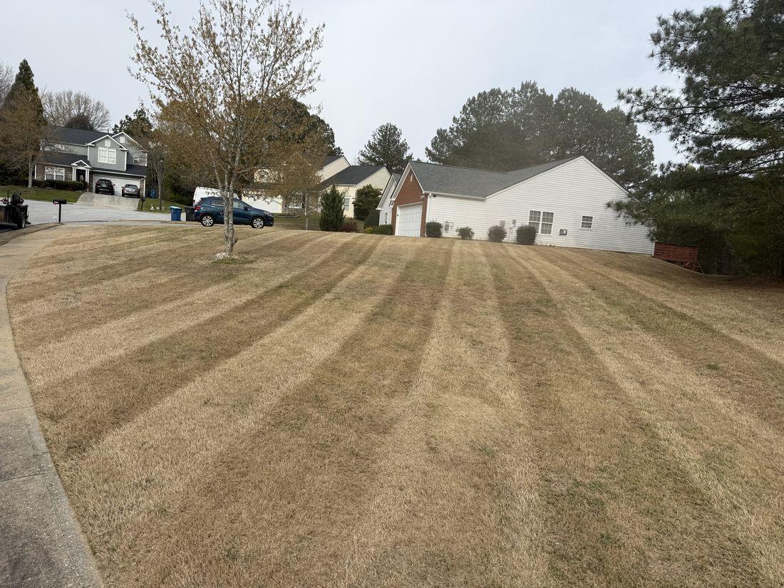 Cleared, tidy winter lawn by Kaus Cuts