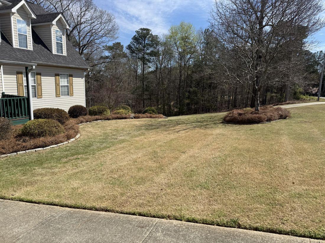 Home with a leaf-cleared lawn by Kaus Cuts