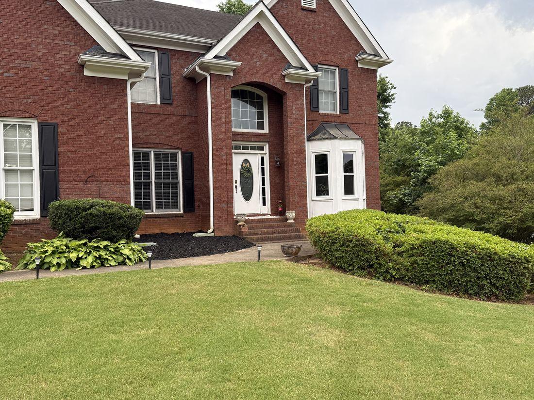Shaped shrubs and clean landscaping by Kaus Cuts