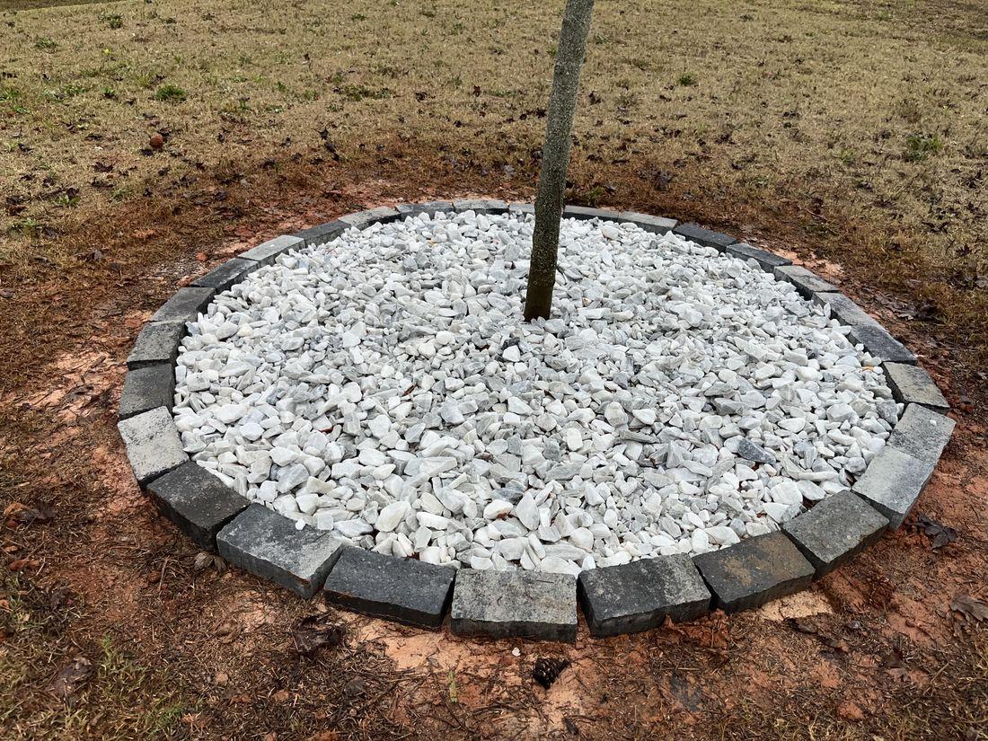 Decorative stone tree ring installed by Kaus Cuts