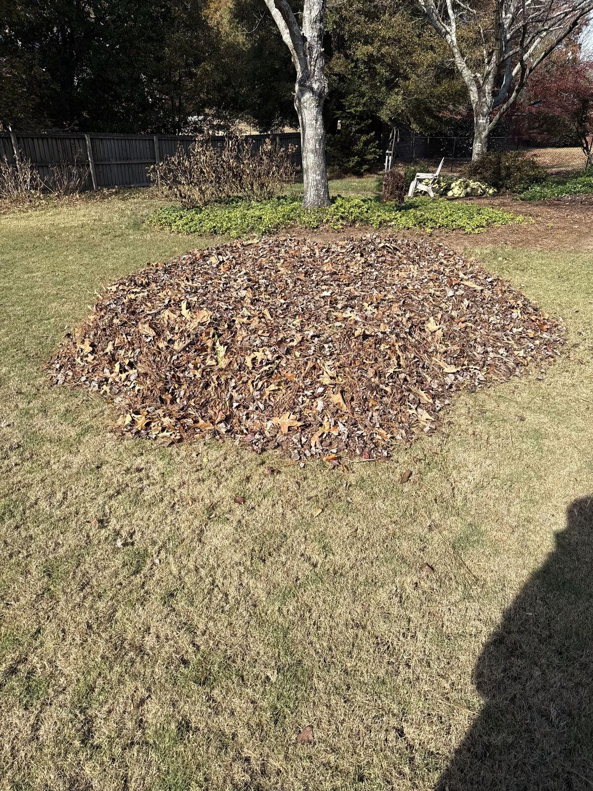 Leaves raked into a large pile during a Kaus Cuts fall yard cleanup — Newton County, GA