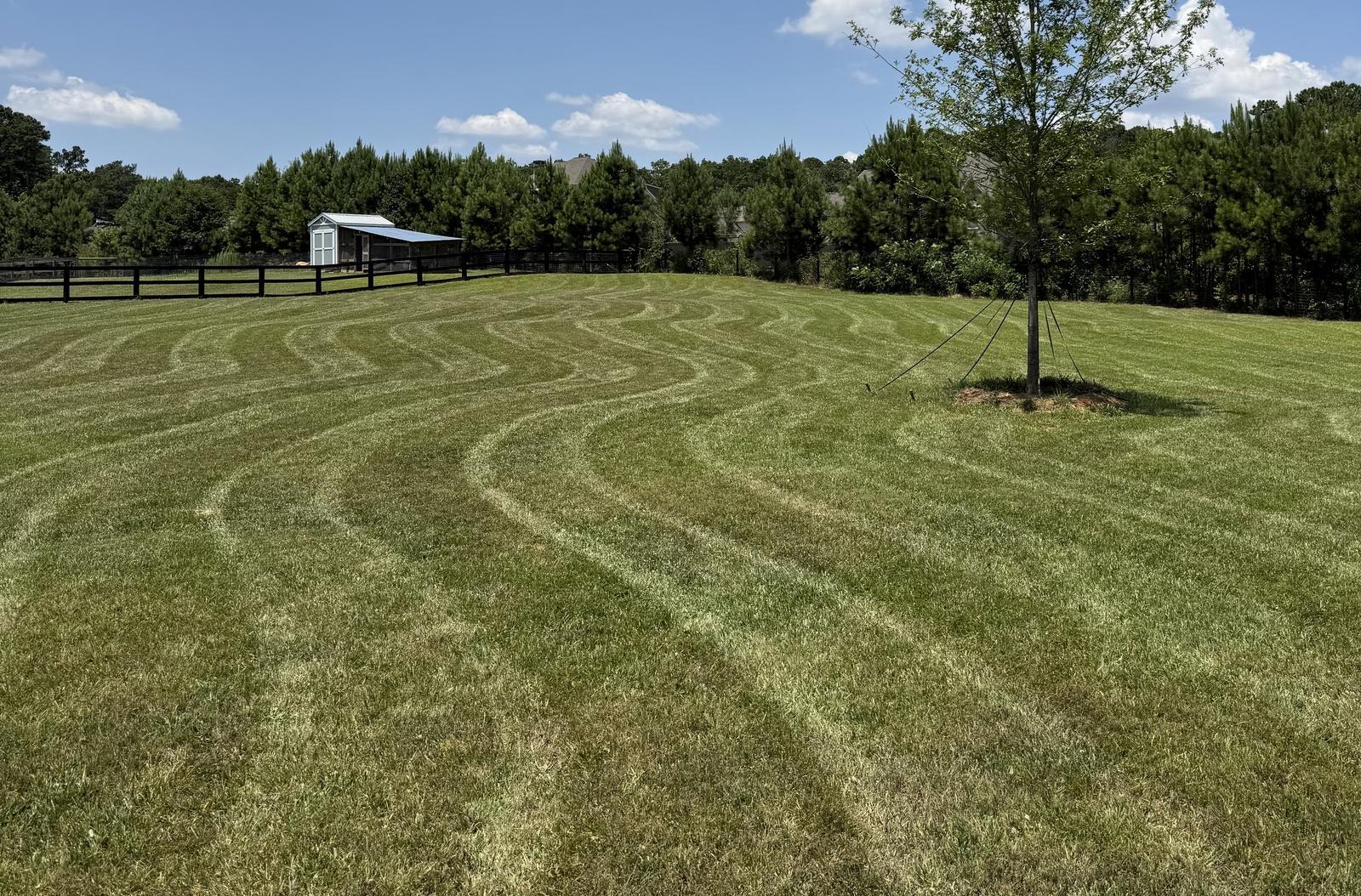 Lush green lawn with wavy mowing stripes cut by Kaus Cuts โ Walton County, GA