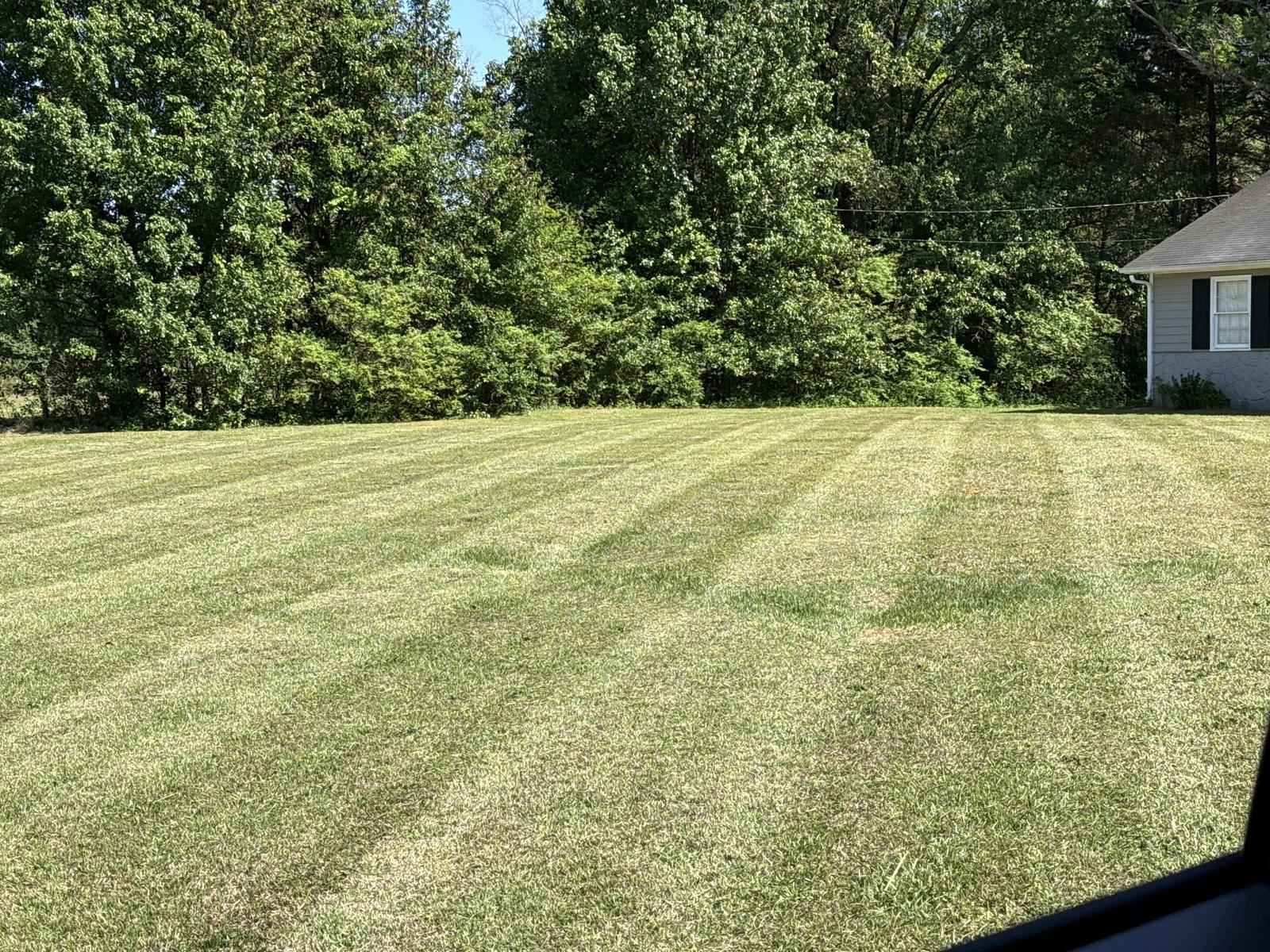 Thick green turf maintained by Kaus Cuts โ the result of healthy, aerated soil