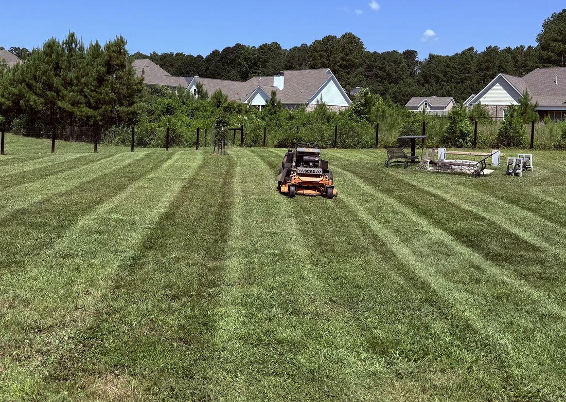Dense, healthy striped turf maintained by Kaus Cuts