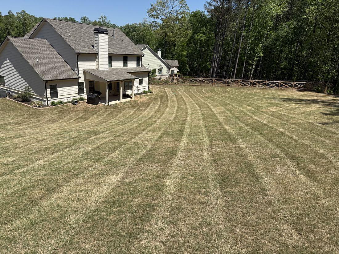Strong, healthy grass maintained by Kaus Cuts
