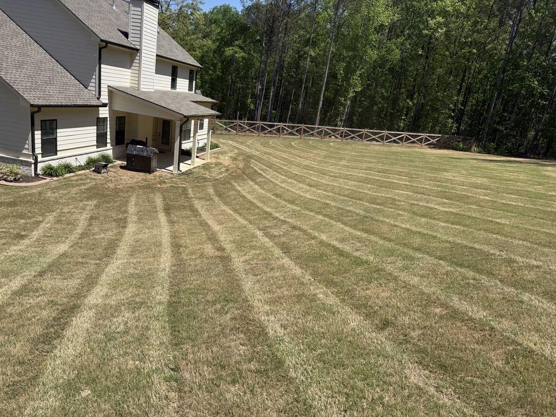 Healthy, striped lawn maintained by Kaus Cuts