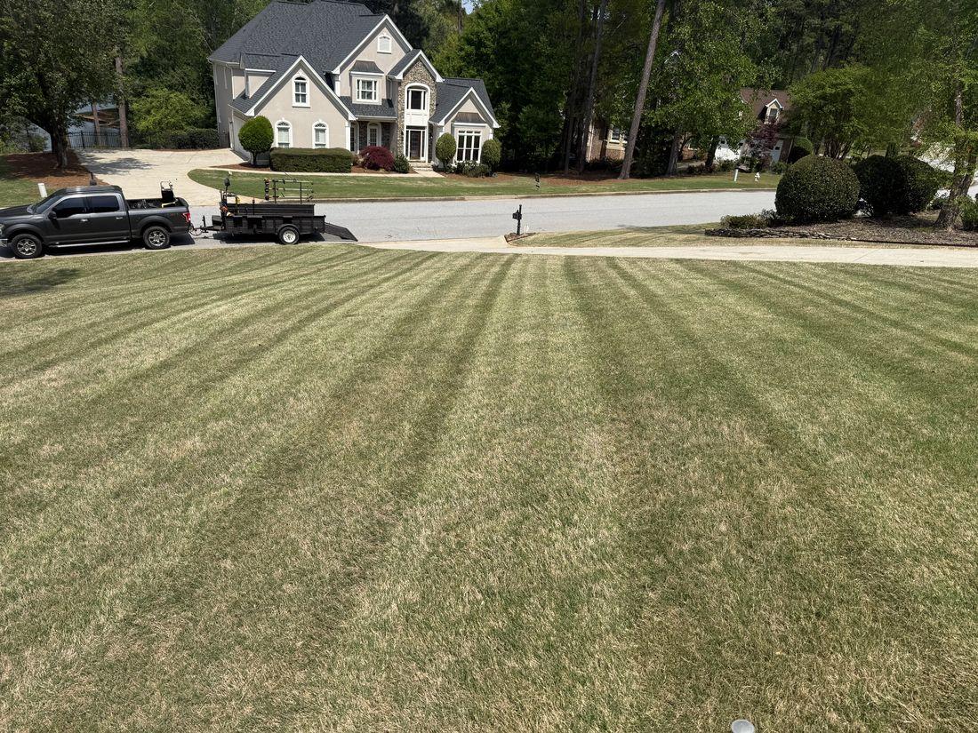 Thick, even green lawn by Kaus Cuts