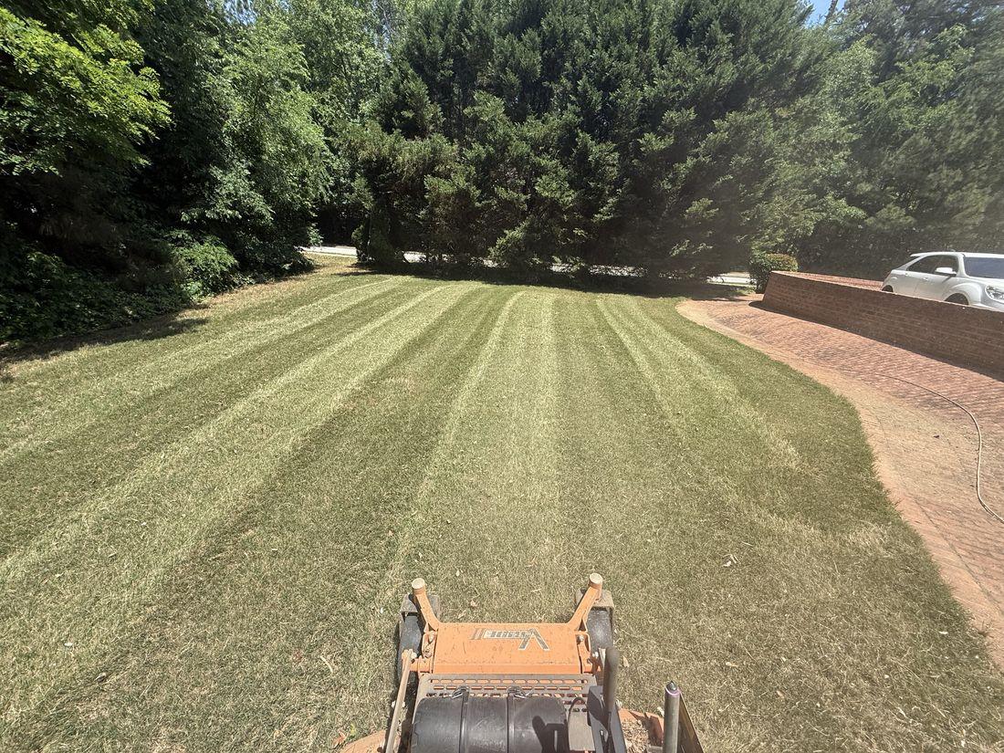 Lush, well-rooted turf maintained by Kaus Cuts