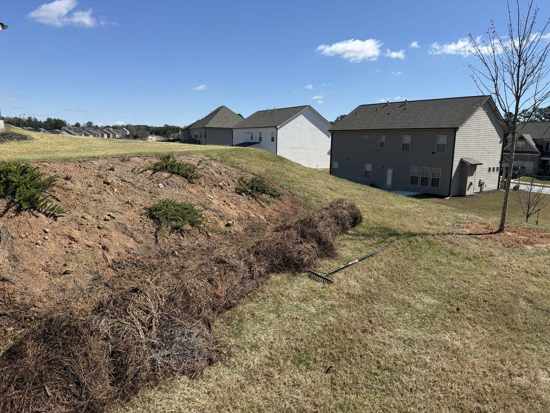 Green, thriving lawn kept healthy by Kaus Cuts