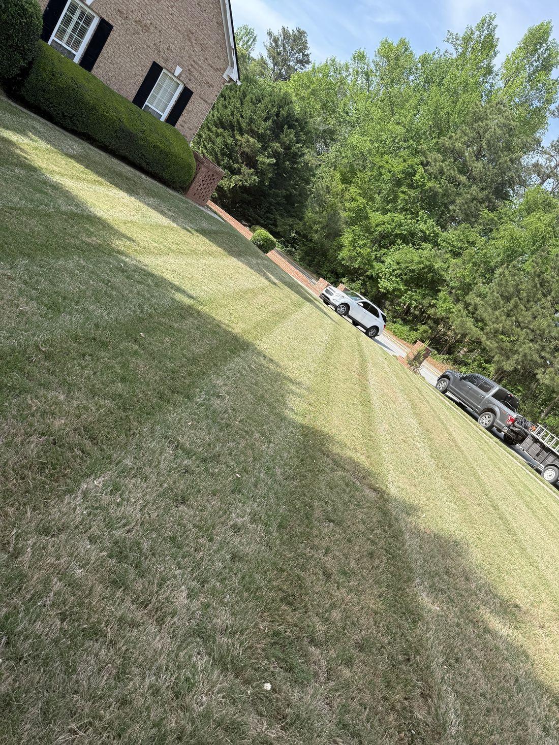 Even, well-irrigated lawn maintained by Kaus Cuts