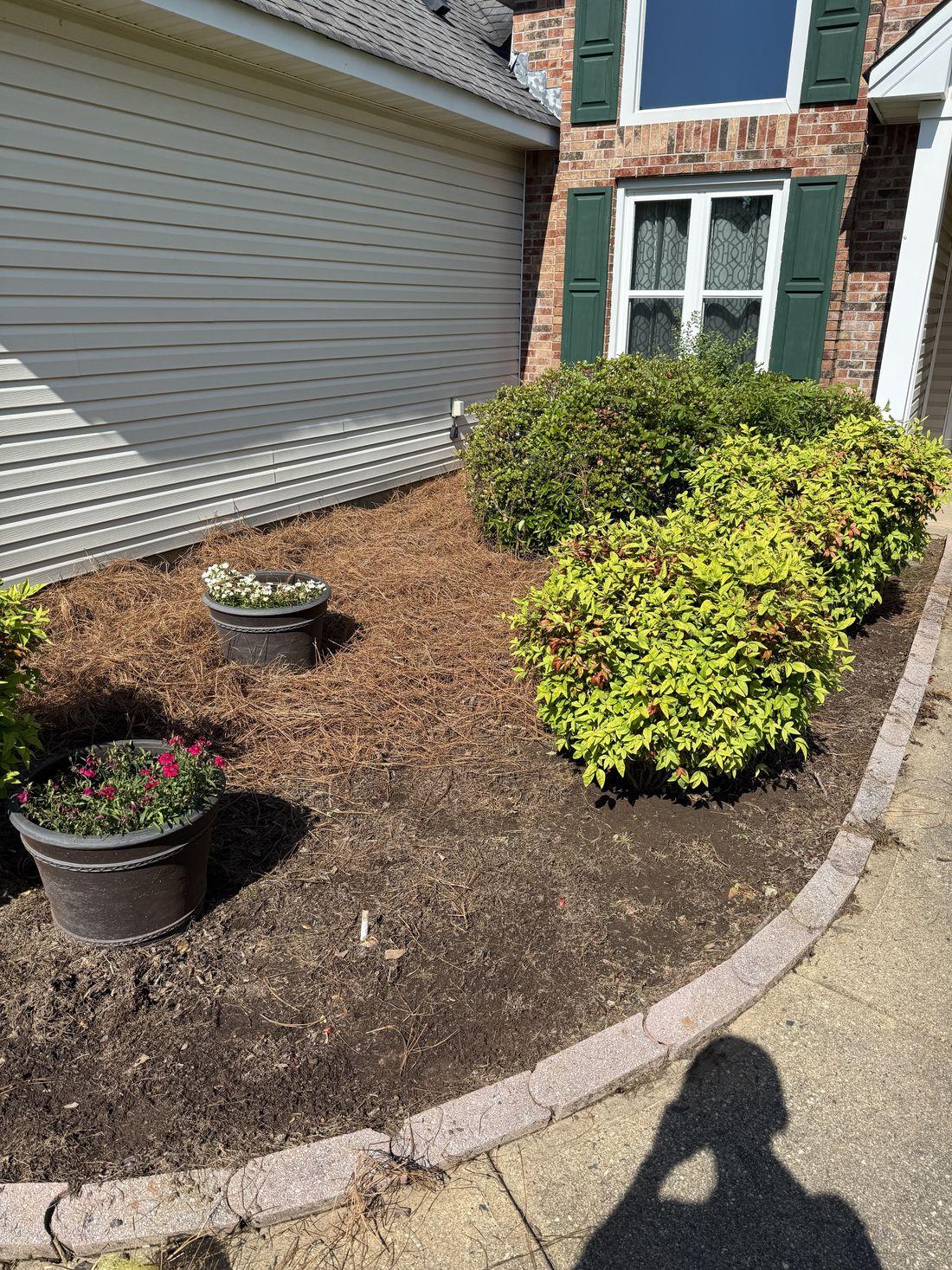 Well-maintained, clutter-free property by Kaus Cuts
