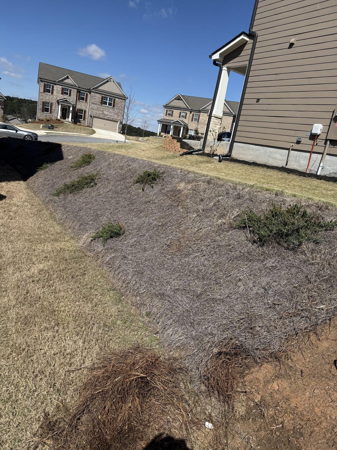 Cleared, tidy home and lawn by Kaus Cuts