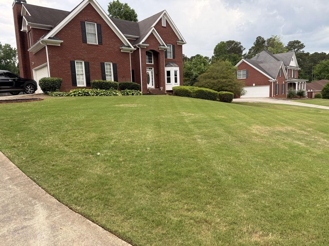 Tidy home and cleared lawn by Kaus Cuts