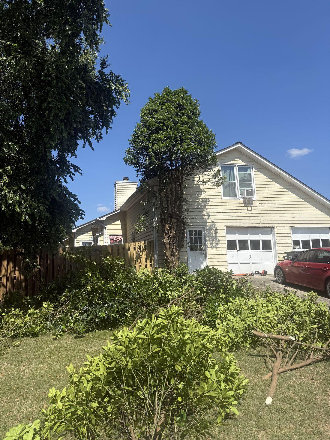 Well-kept, freshly mowed lawn by Kaus Cuts