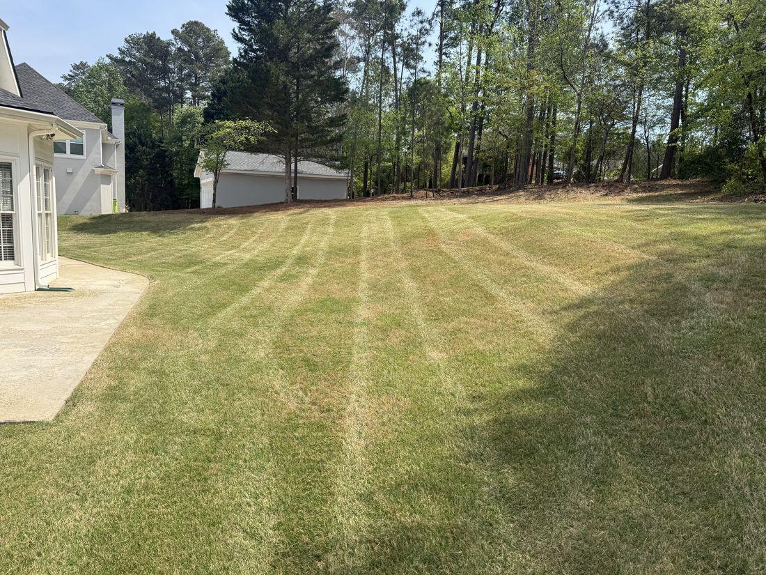 Clean mowing stripes across a residential lawn by Kaus Cuts