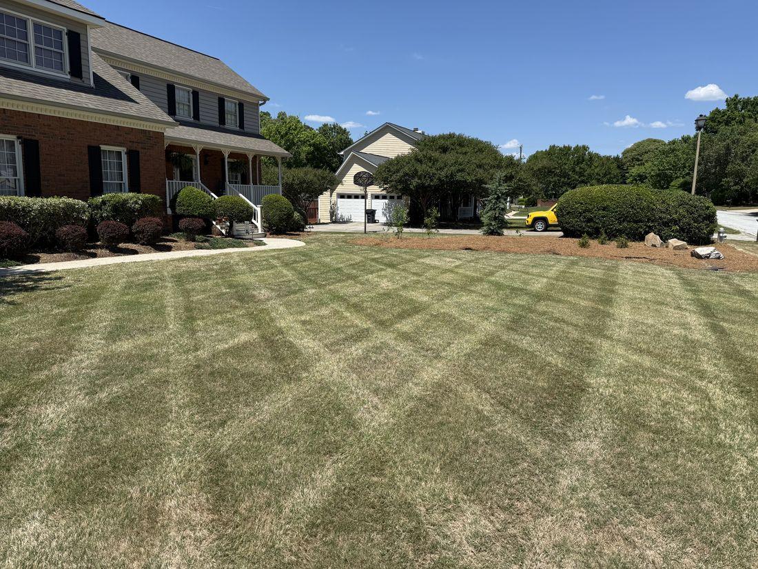 Tidy, well-maintained green lawn by Kaus Cuts