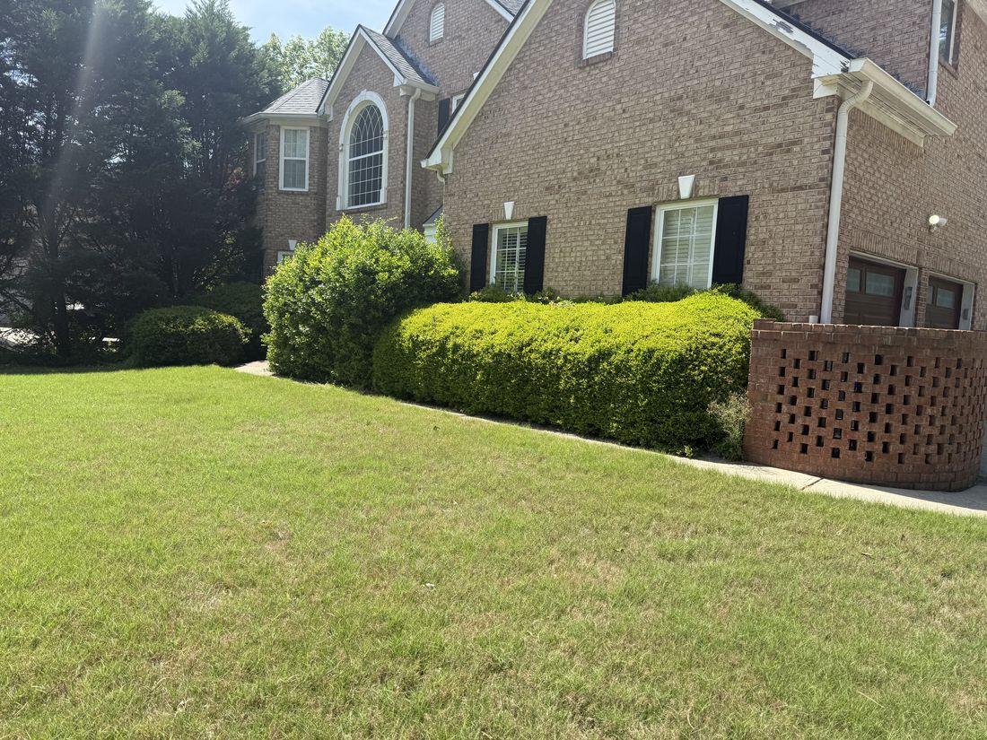 Manicured front lawn cut by Kaus Cuts