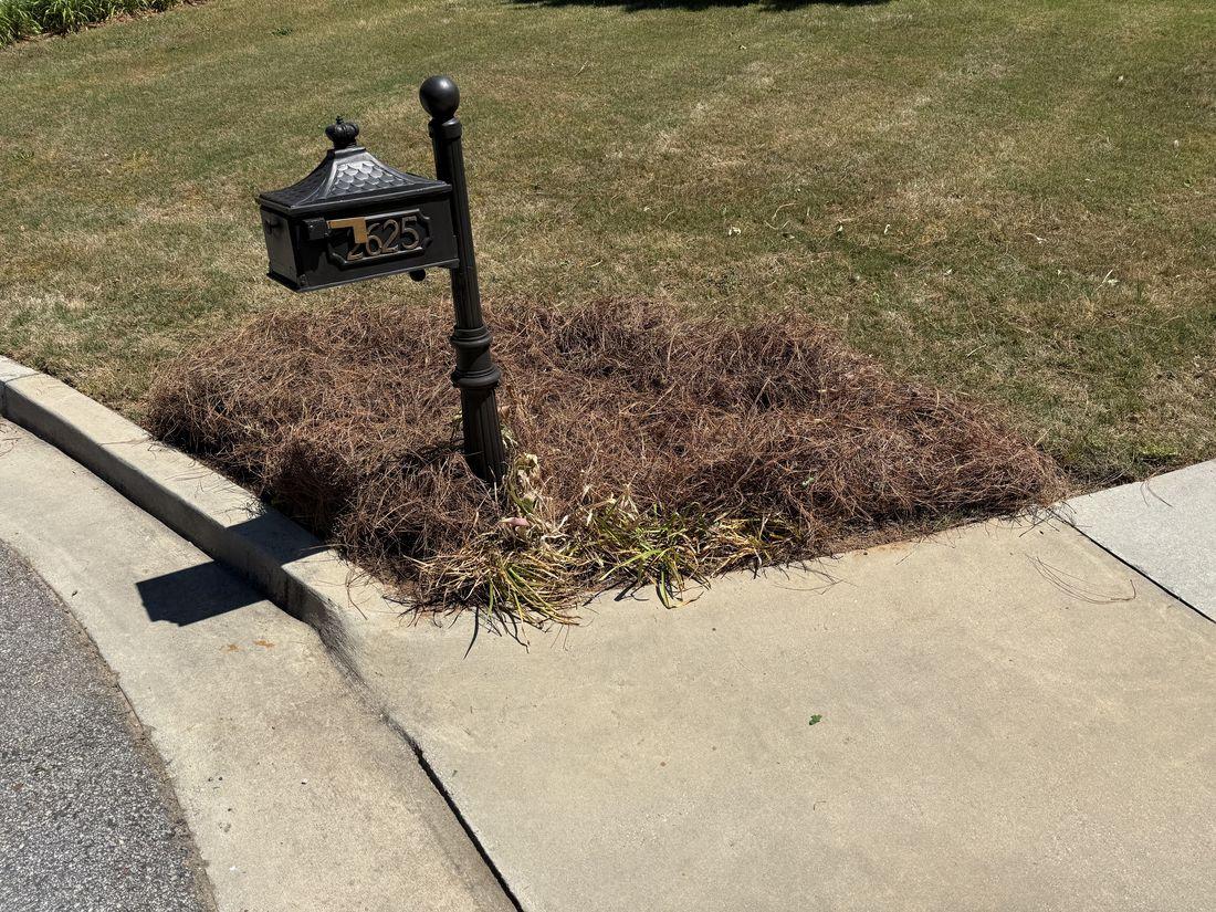 Striped lawn and clean edges by Kaus Cuts
