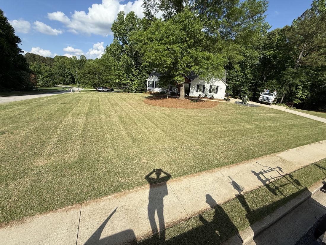 Wide green lawn freshly cut by Kaus Cuts
