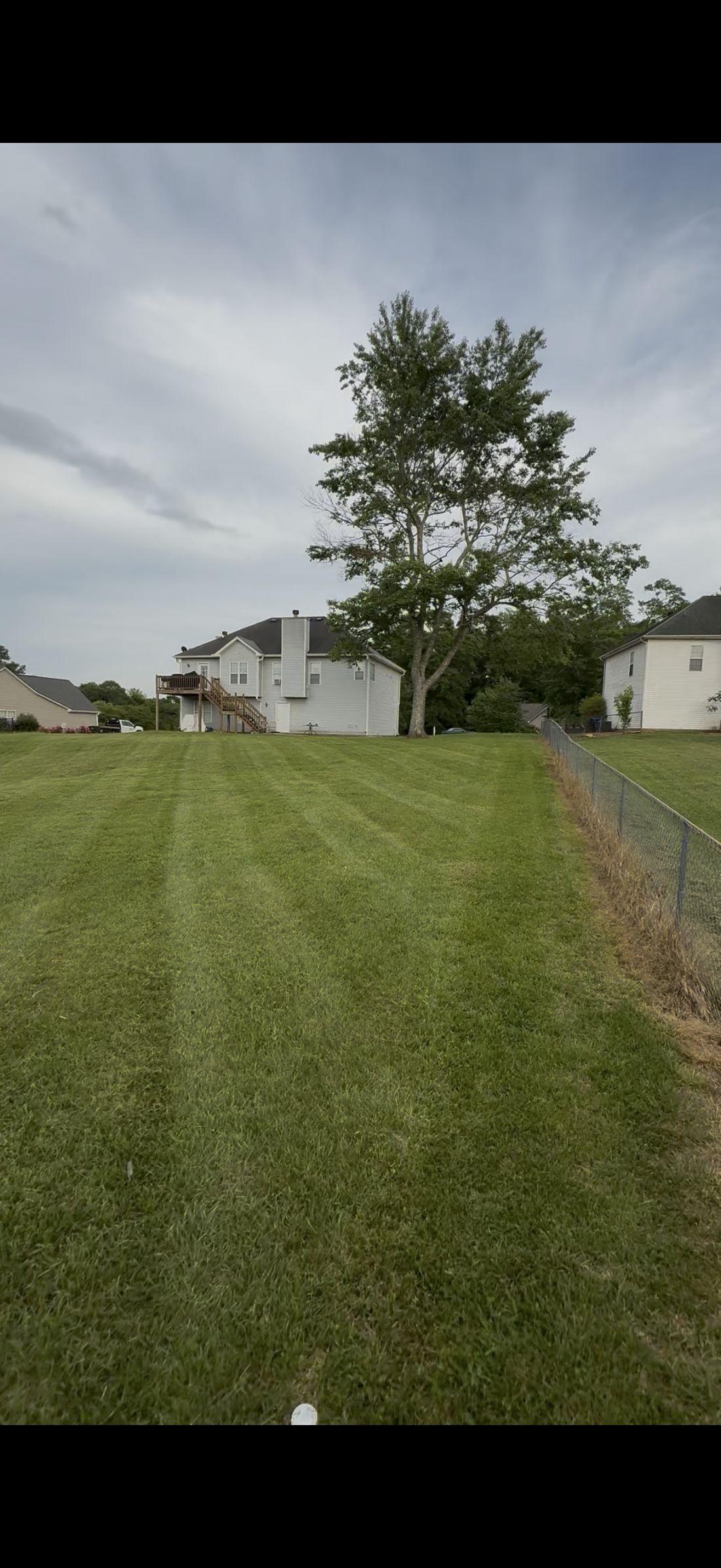 Crisp lawn stripes from a Kaus Cuts mow