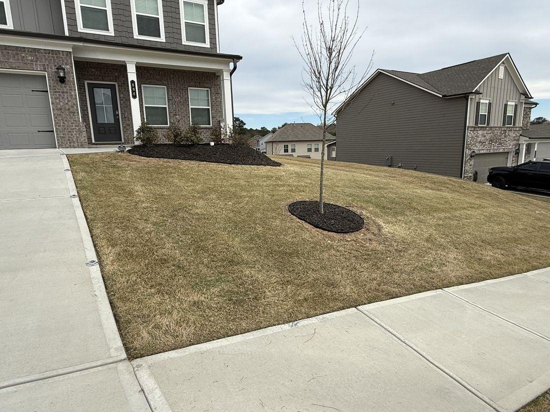 Neatly mowed front yard by Kaus Cuts