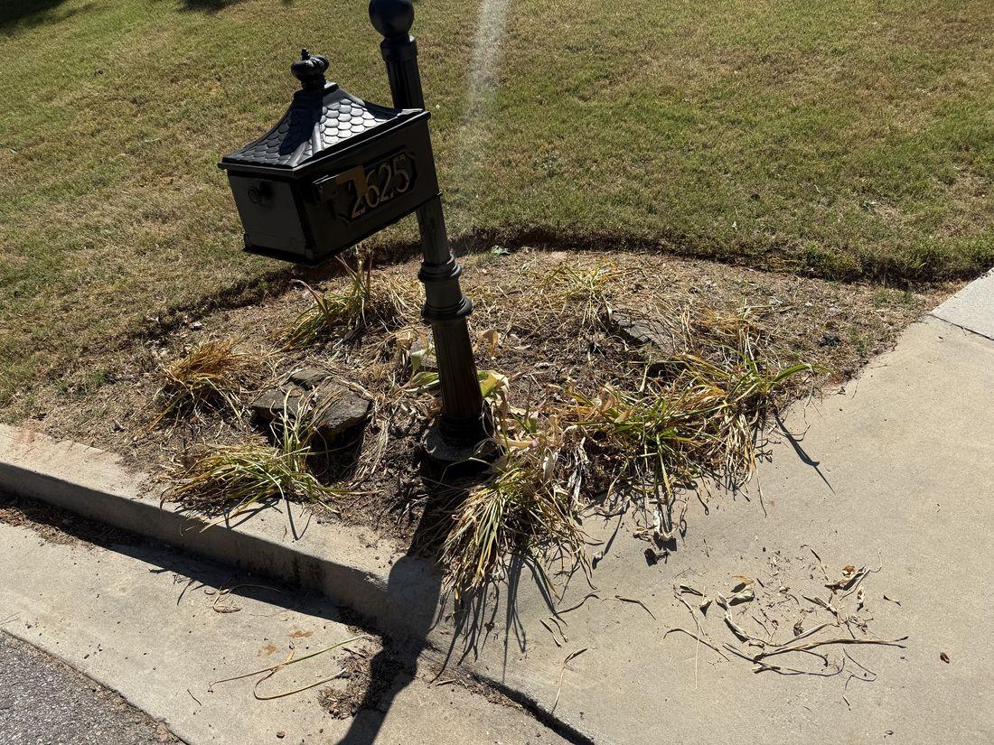 Mulched mailbox bed installed by Kaus Cuts