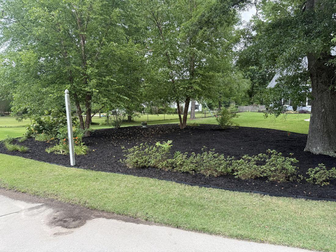 Fresh mulch bed and clean lawn edge installed by Kaus Cuts