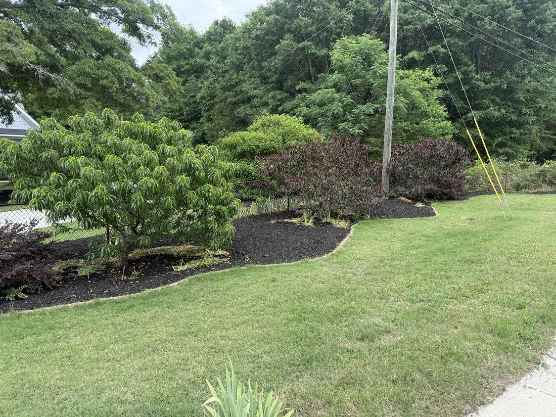 Mulched landscape beds and trimmed shrubs by Kaus Cuts