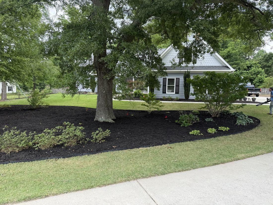 Mulch bed around a tree installed by Kaus Cuts