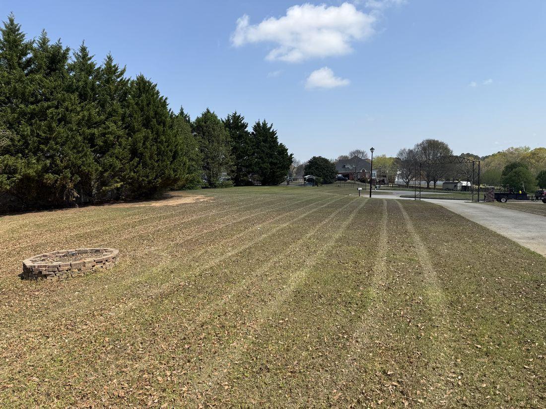 Thick, even green lawn under blue sky maintained by Kaus Cuts