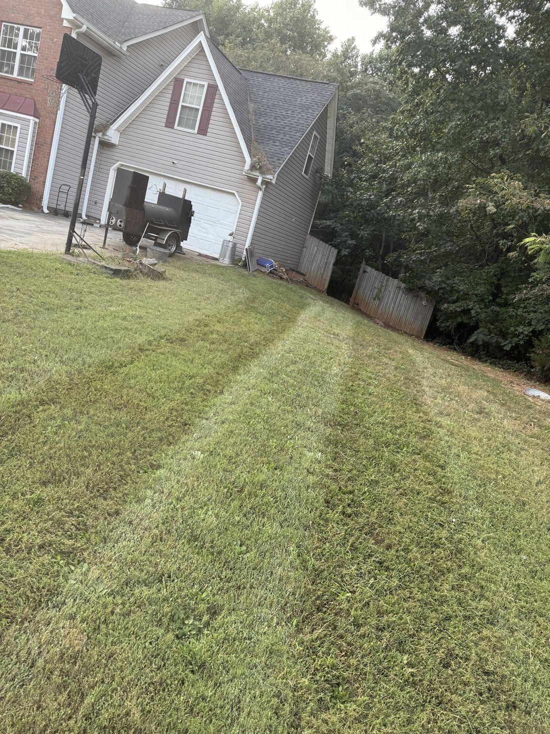 Healthy, established lawn maintained by Kaus Cuts