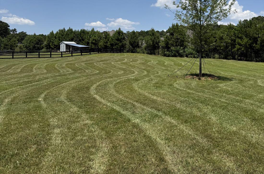 Full, green lawn across a residential yard by Kaus Cuts