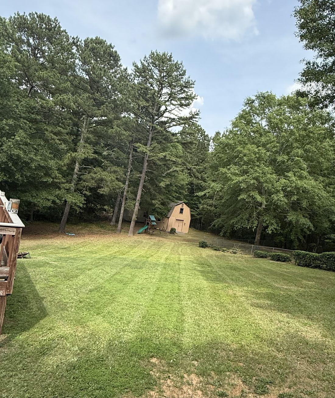 Lush green lawn and tree line by Kaus Cuts