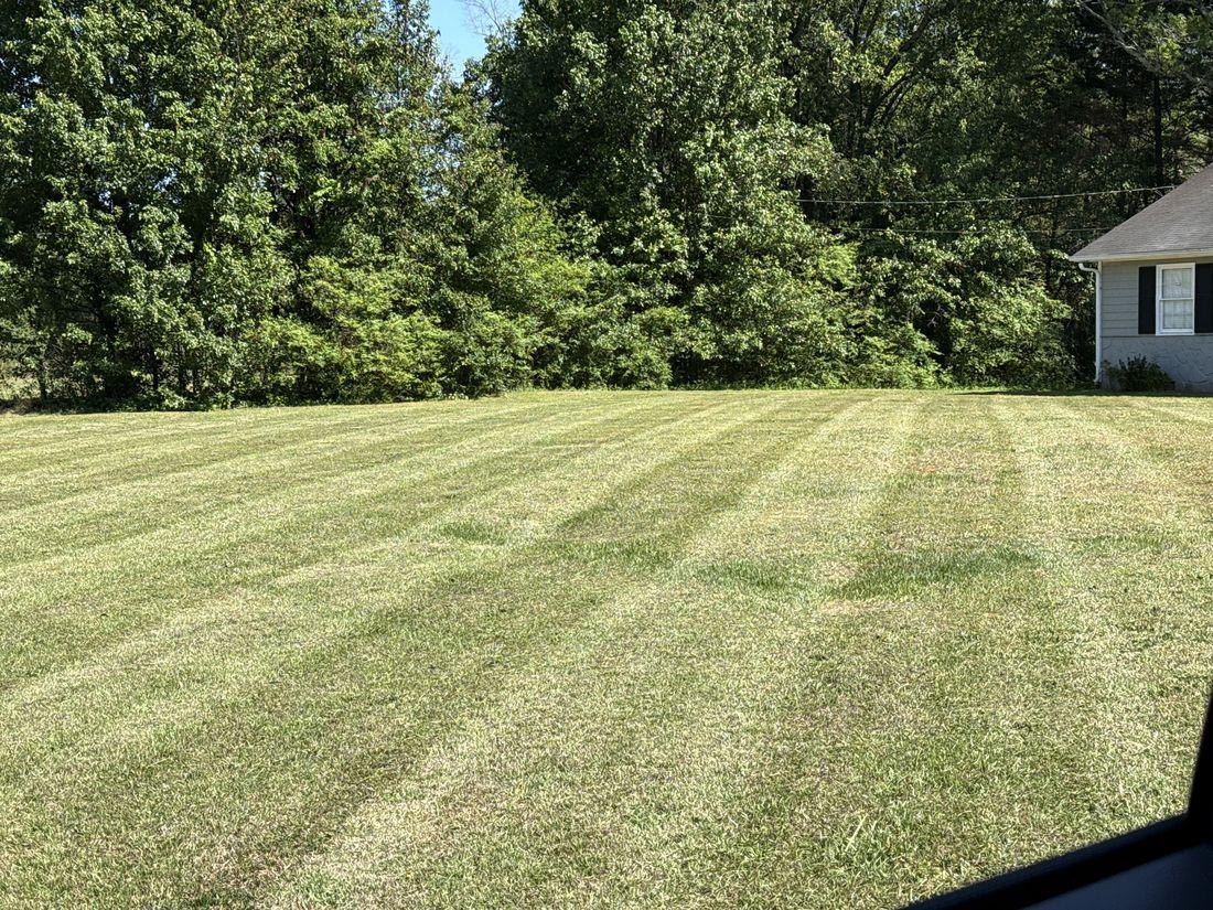 Wide, even green lawn by Kaus Cuts