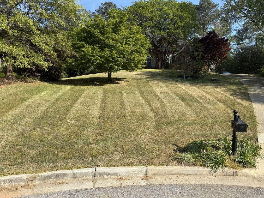 Healthy, uniform turf maintained by Kaus Cuts