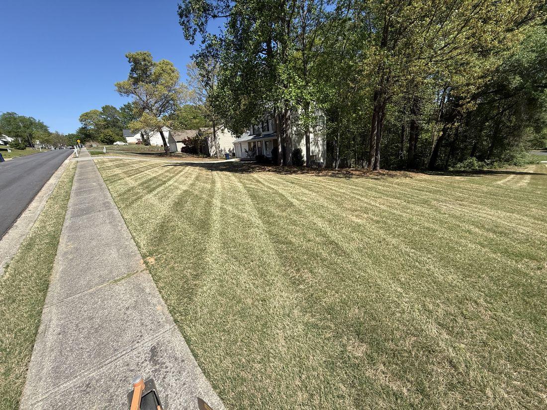 Long, full green lawn by Kaus Cuts