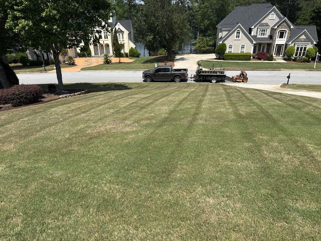 Thick, green established lawn by Kaus Cuts