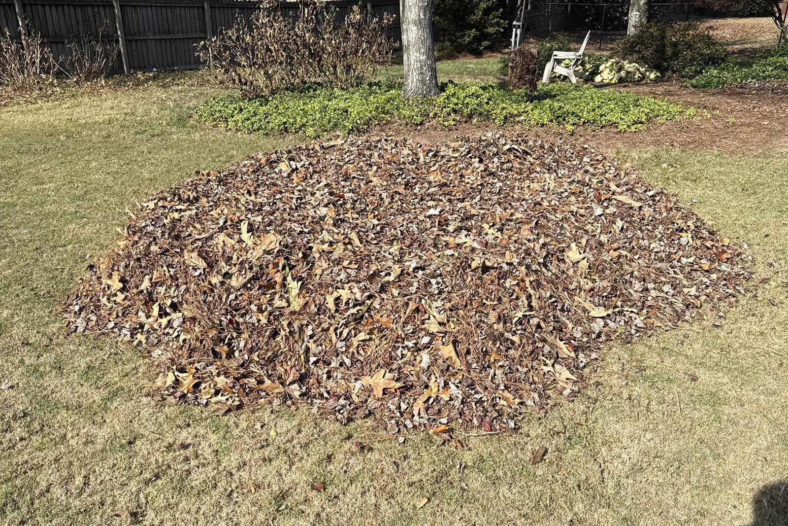 Pile of yard debris on a customer's lawn, ready for Kaus Cuts haul-off โ Newton County, GA
