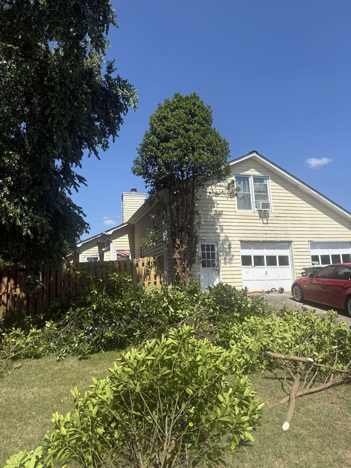 Overgrown limbs cut back from a house by Kaus Cuts — Newton County, GA